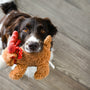black and white short coated dog on brown bear plush toy