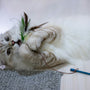 a cat playing with a toy on the floor