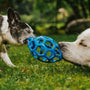 Two dogs playing with a ball in the grass