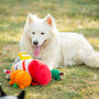 White dog relaxes with toys on the grass.