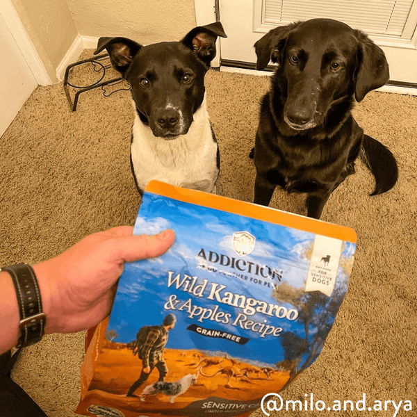 Wild Kangaroo & Apples Recipe Dry Dog Food