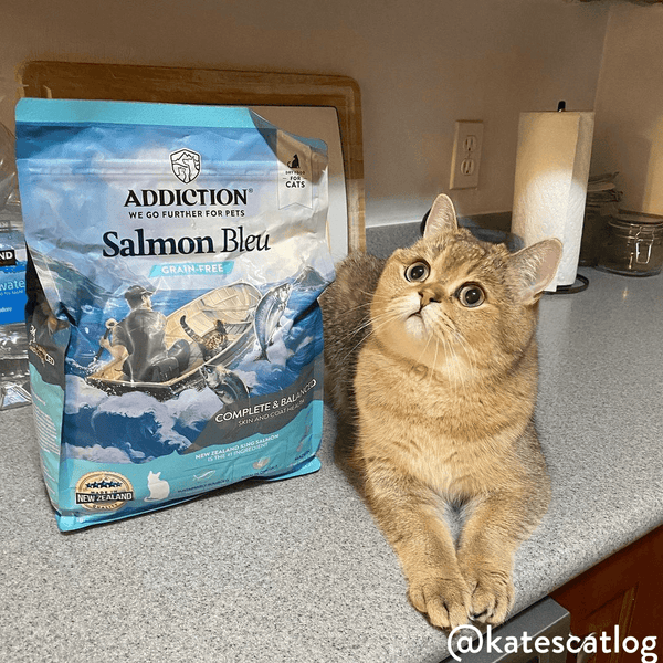 Salmon Bleu Dry Cat Food
