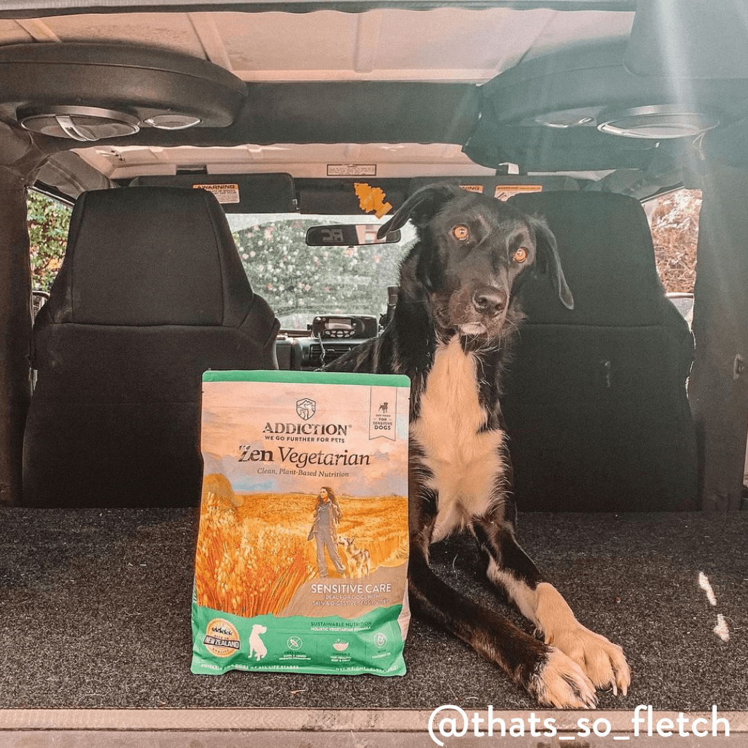 Zen Vegetarian Dry Dog Food