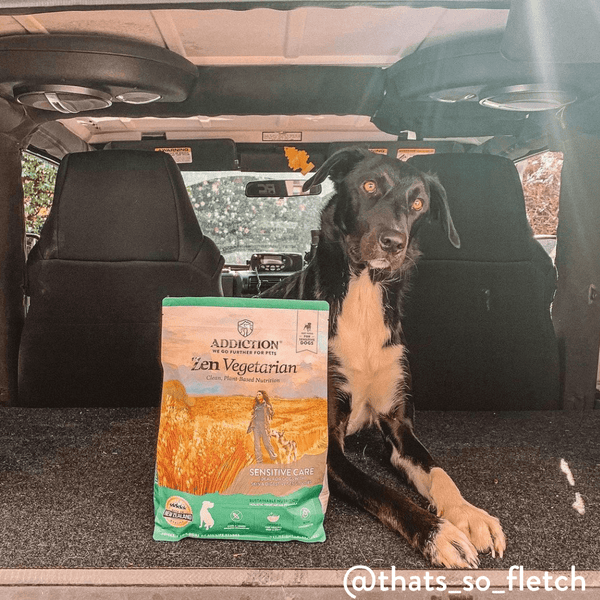 Zen Vegetarian Dry Dog Food
