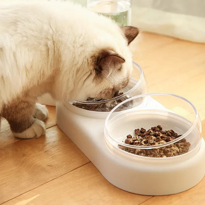 Raised Double Pet Bowl with Water Dispenser | 500ml Food & Water Feeder for Cats & Small Dogs