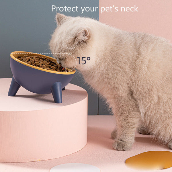 Modern Raised Tilted Pet Bowl | 15° Angled Food-Grade Feeding Bowl for Cats & Dogs