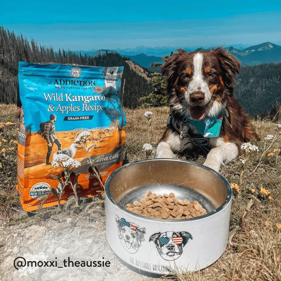 Wild Kangaroo & Apples Recipe Dry Dog Food