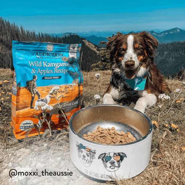 Wild Kangaroo & Apples Recipe Dry Dog Food