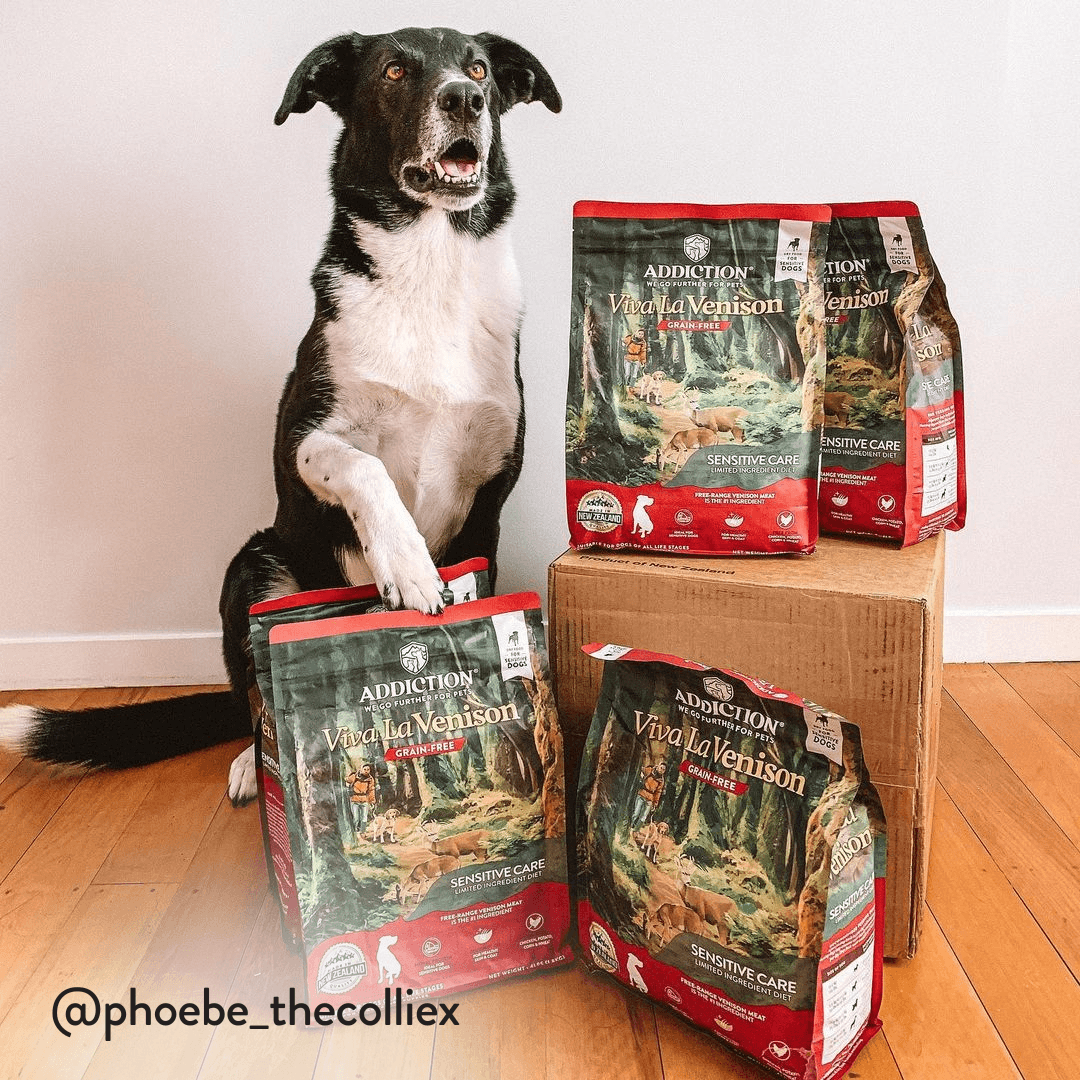 Viva La Venison Dry Dog Food