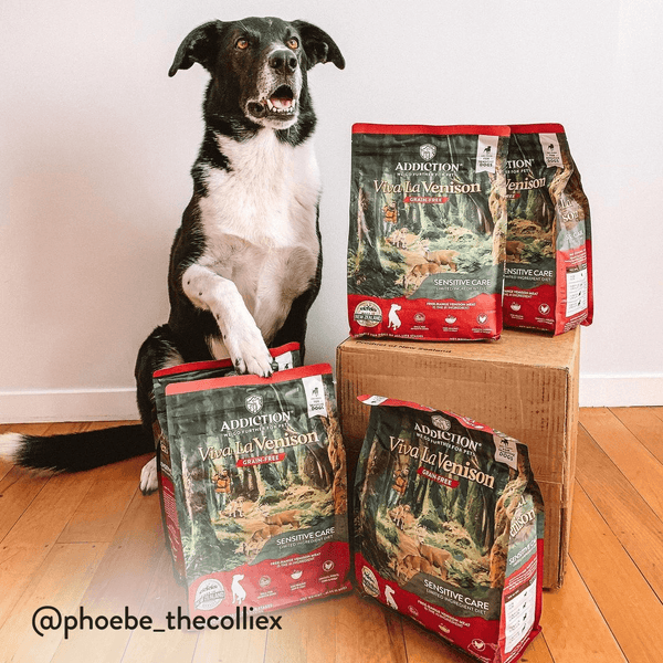 Viva La Venison Dry Dog Food