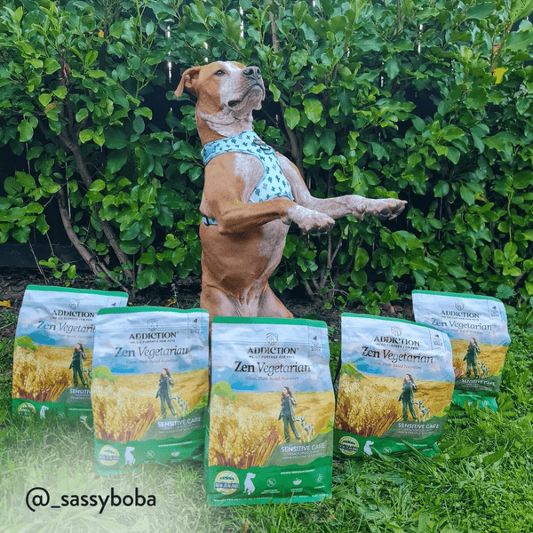 Zen Vegetarian Dry Dog Food