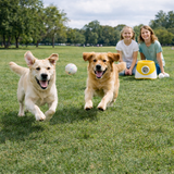 Active Paws | Interactive Electronic Ball Launcher for Dogs with Adjustable Distance | Engaging Fetch Toy for Healthy Playtime 6