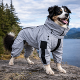 All-Weather Dog Raincoat | Reflective Waterproof Design for Safety and Comfort 1