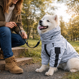 All-Weather Dog Raincoat | Reflective Waterproof Design for Safety and Comfort 5