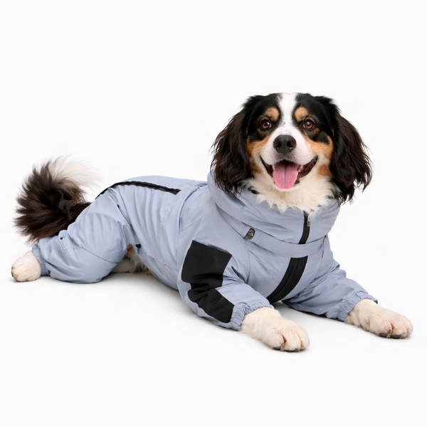 All-Weather Dog Raincoat | Reflective Waterproof Design for Safety and Comfort 6