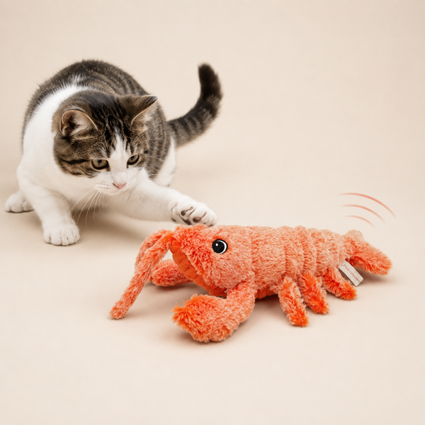 Electric Jumping Lobster Plush Cat Toy | USB Rechargeable Interactive Pet Toy