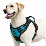 Comfort Control | No Pull Dog Harness with Adjustable Fit | Soft-Padded Vest for Comfortable Walks 1