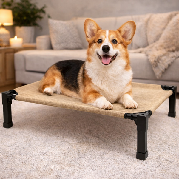 Comfort Pet Collection | Elevated Dog Bed with Chew-Proof Design | Durable Raised Cot for Outdoor Comfort 0