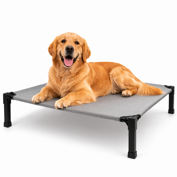 Comfort Pet Collection | Elevated Dog Bed with Chew-Proof Design | Durable Raised Cot for Outdoor Comfort 1