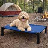 Comfort Pet Collection | Elevated Dog Bed with Chew-Proof Design | Durable Raised Cot for Outdoor Comfort 2