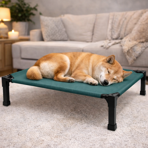 Comfort Pet Collection | Elevated Dog Bed with Chew-Proof Design | Durable Raised Cot for Outdoor Comfort 3