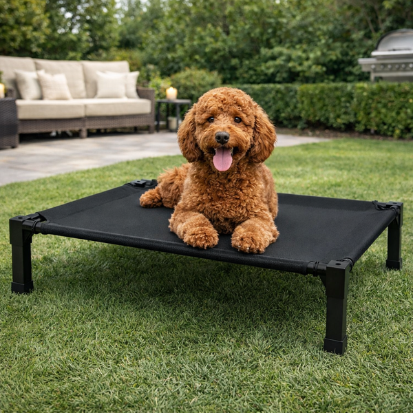 Comfort Pet Collection | Elevated Dog Bed with Chew-Proof Design | Durable Raised Cot for Outdoor Comfort 5