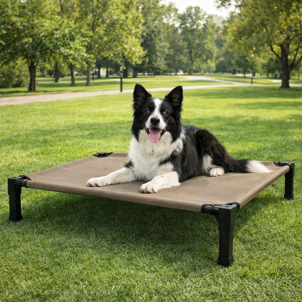 Comfort Pet Collection | Elevated Dog Bed with Chew-Proof Design | Durable Raised Cot for Outdoor Comfort 6