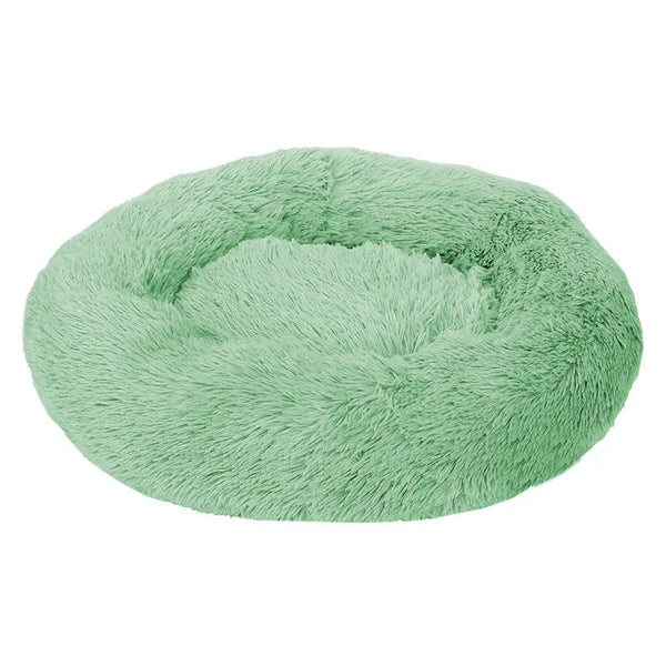 Plush Round Dog Bed with Raised Rim | Self-Warming Pet Bed for Small to Large Dogs & Cats