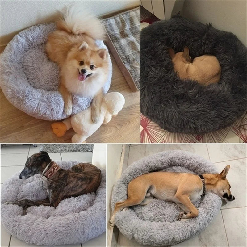 Plush Round Dog Bed with Raised Rim | Self-Warming Pet Bed for Small to Large Dogs & Cats
