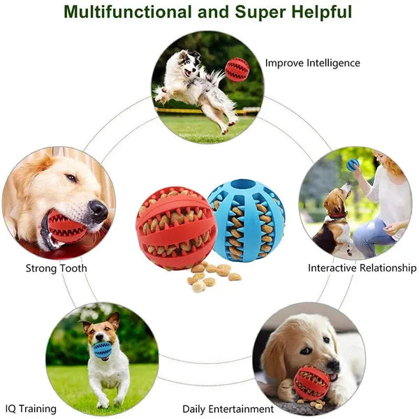Durable Dog Chew Toy Ball with Bite Resistance | Nontoxic Fun Treat Feeder for Dogs and Cats 4