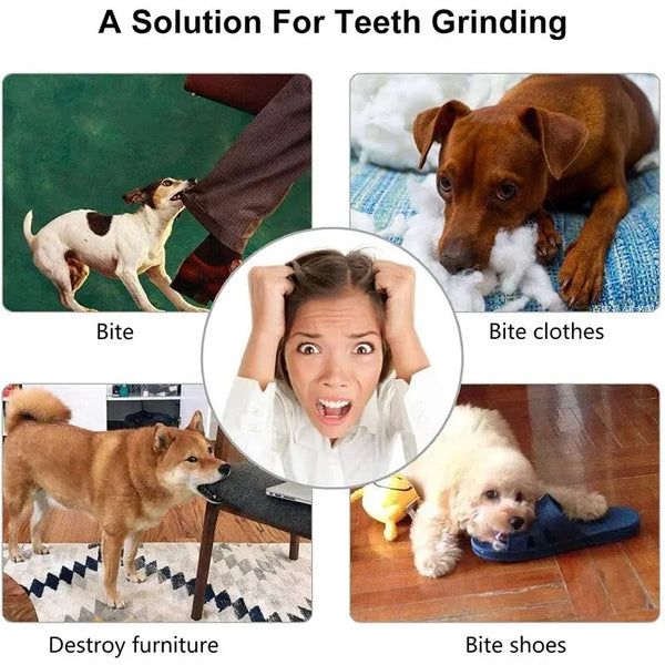 Treat Dispensing Dog Chew Toy Ball | Non-Toxic Rubber Dental Toy for Dogs & Cats