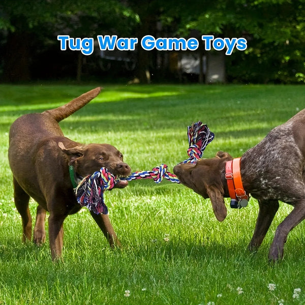 Durable Knot Dog Toy | Indestructible Tug of War Rope Toy for Medium & Large Dogs