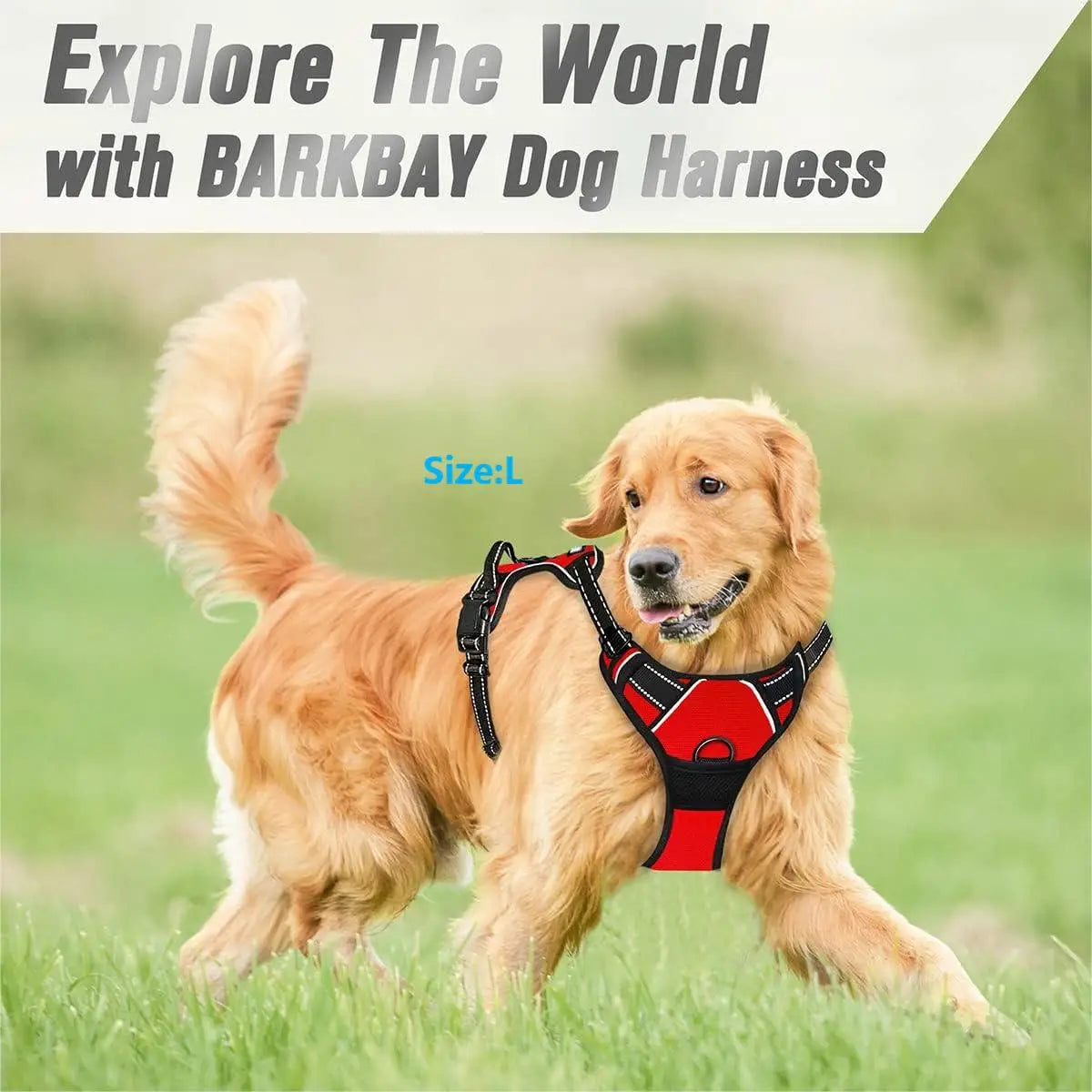 No Pull Dog Harness with Control Handle | Reflective Heavy-Duty Harness for Large Dogs