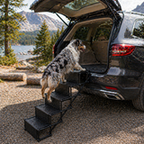 Foldable Dog Steps for Car with Non-Slip Surface | Ideal Portable Pet Steps for Senior Dogs and Small Breeds 2