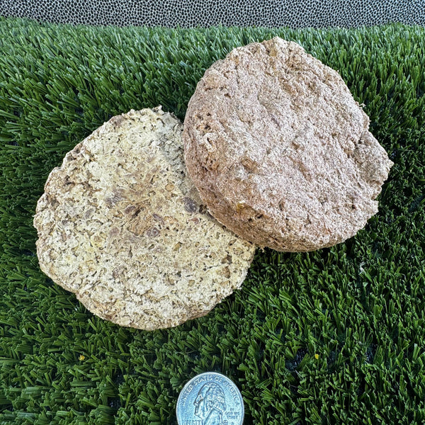 Freeze-Dried Beef Cakes