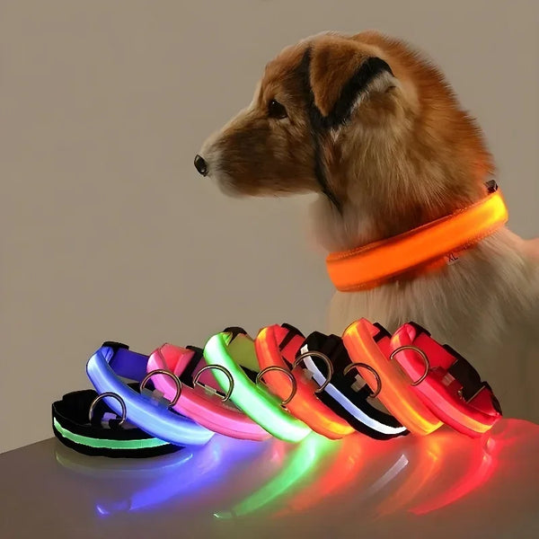 LED Nylon Dog Collar | Adjustable Water-Resistant Glow Collar for Night Walks