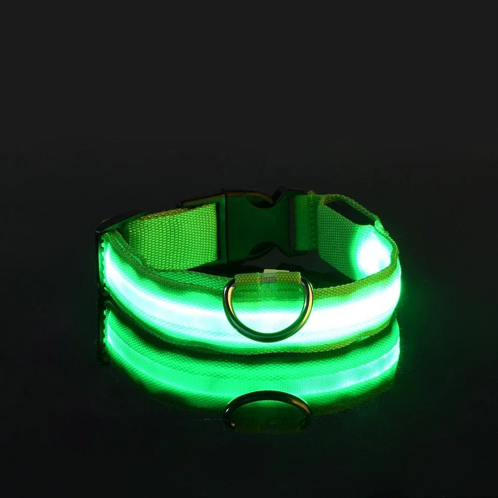 LED Nylon Dog Collar | Adjustable Water-Resistant Glow Collar for Night Walks