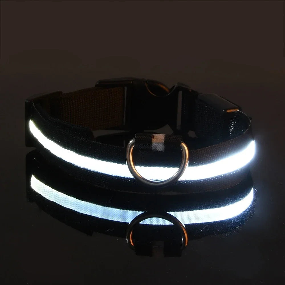 LED Nylon Dog Collar | Adjustable Water-Resistant Glow Collar for Night Walks