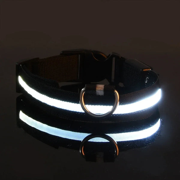 LED Nylon Dog Collar | Adjustable Water-Resistant Glow Collar for Night Walks