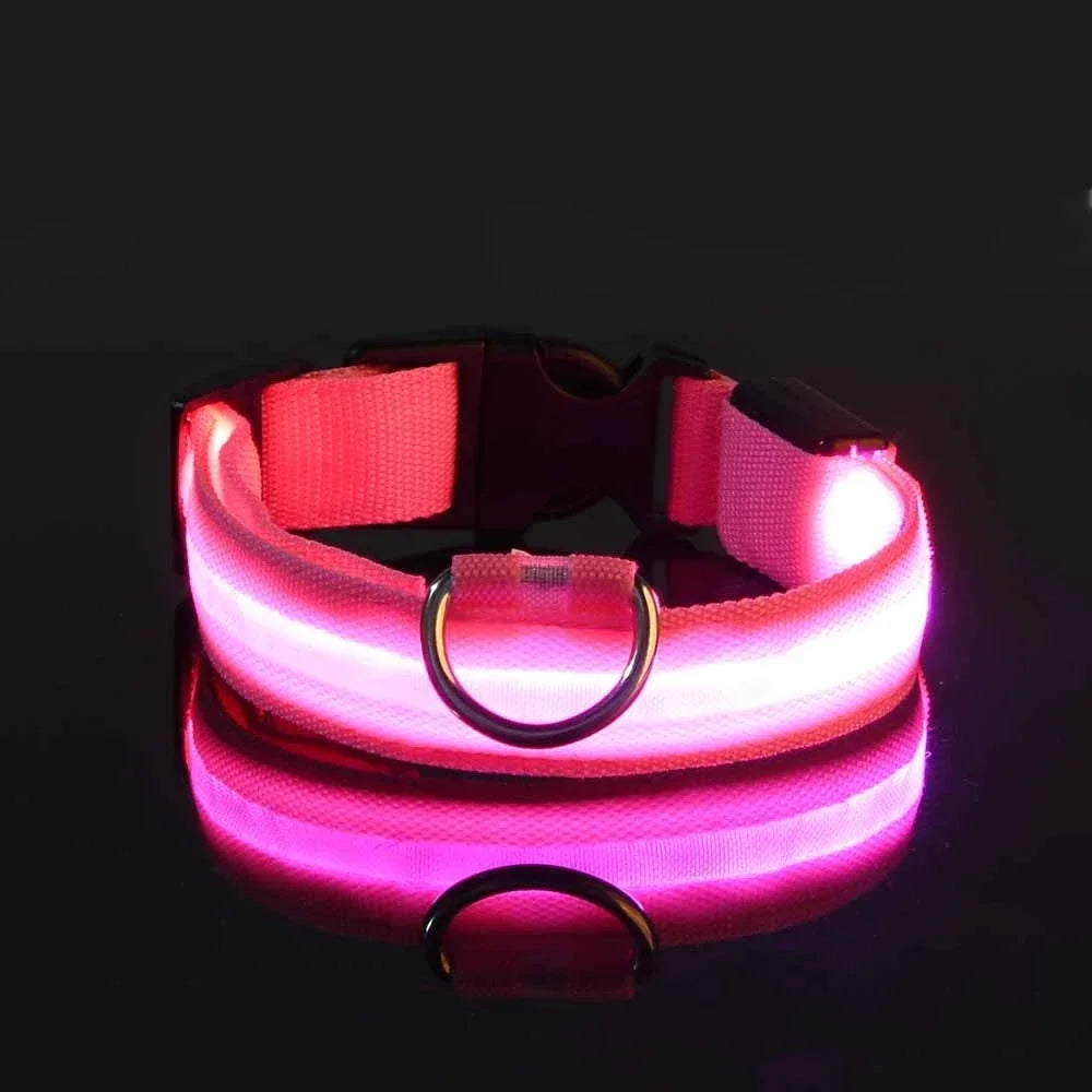 LED Nylon Dog Collar | Adjustable Water-Resistant Glow Collar for Night Walks