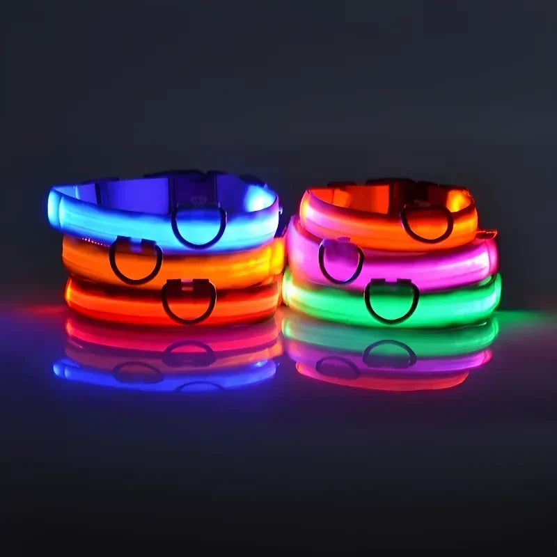 LED Nylon Dog Collar | Adjustable Water-Resistant Glow Collar for Night Walks