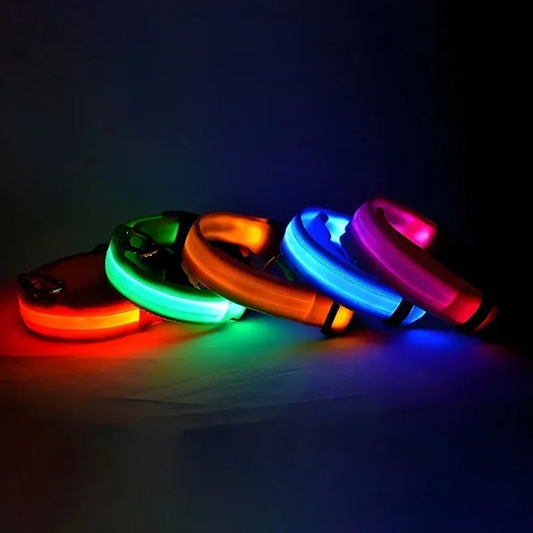 LED Nylon Dog Collar | Adjustable Water-Resistant Glow Collar for Night Walks