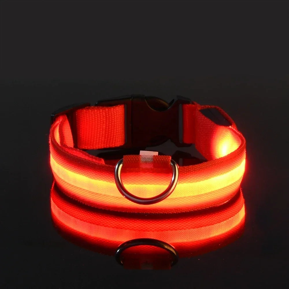 LED Nylon Dog Collar | Adjustable Water-Resistant Glow Collar for Night Walks