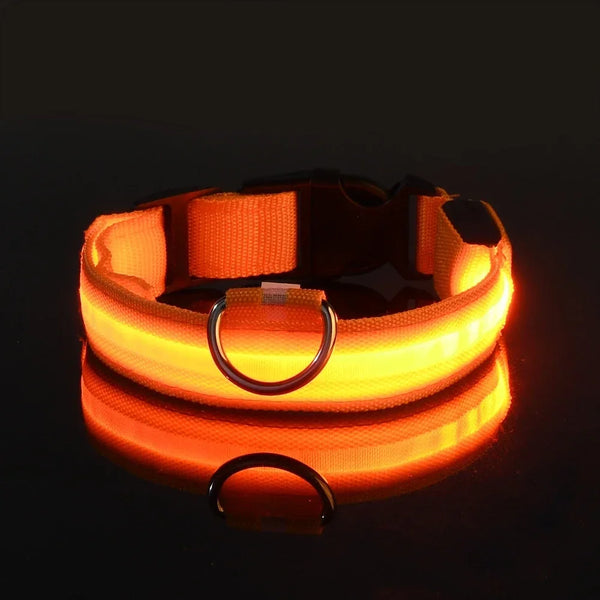 LED Nylon Dog Collar | Adjustable Water-Resistant Glow Collar for Night Walks
