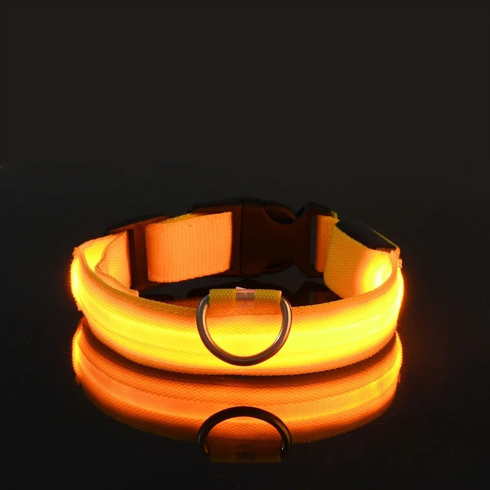 LED Nylon Dog Collar | Adjustable Water-Resistant Glow Collar for Night Walks