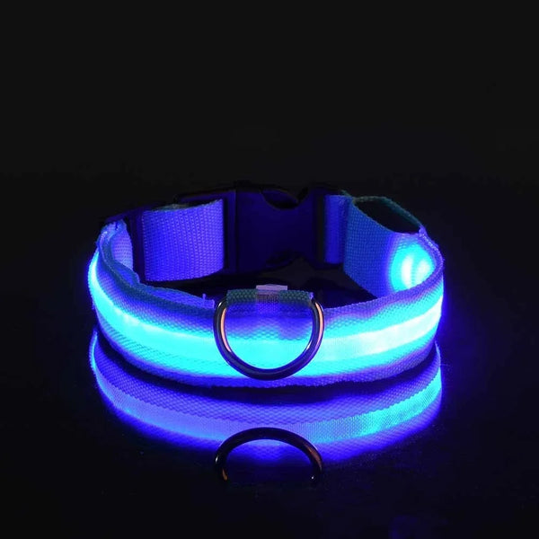LED Nylon Dog Collar | Adjustable Water-Resistant Glow Collar for Night Walks