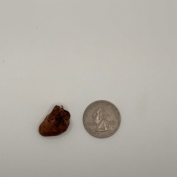 Freeze-Dried Quail Hearts