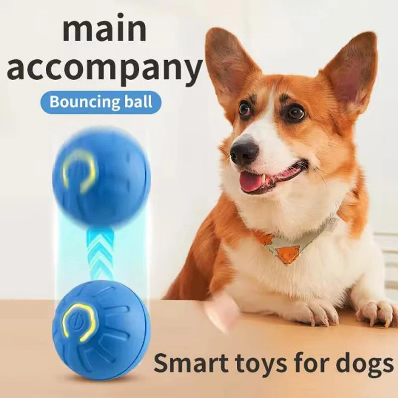 Interactive Pet Toy Ball | Automatic Moving Dog & Cat Toy for Fun Playtime 0