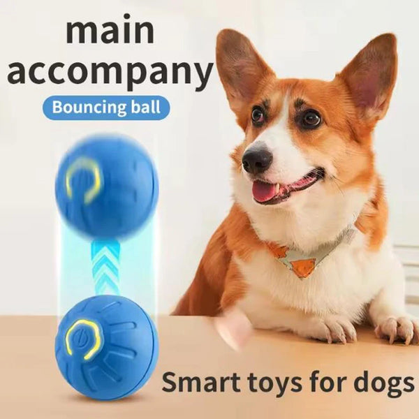 Interactive Pet Toy Ball | Automatic Moving Dog & Cat Toy for Fun Playtime 0