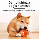 Interactive Pet Toy Ball | Automatic Moving Dog & Cat Toy for Fun Playtime 3